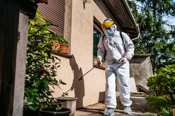 Best Termite Control Services  in Belle Meade, TN