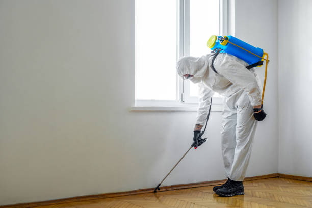 Best Pest Prevention Services  in Belle Meade, TN