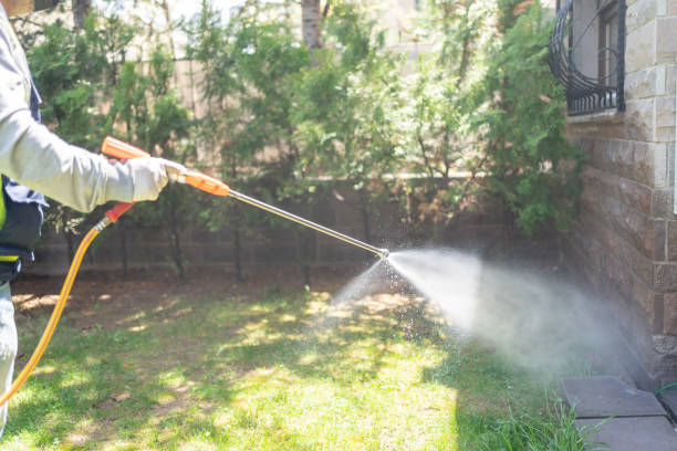 Best Pest Control for Homes  in Belle Meade, TN