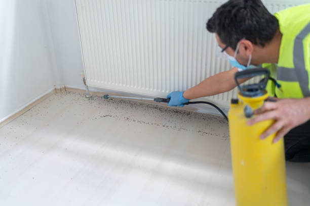 Wasp Removal Services in Belle Meade, TN