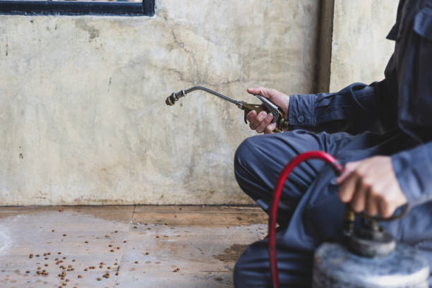 Best Mosquito Control Services  in Belle Meade, TN